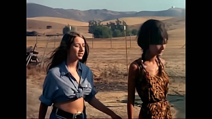 Southern Comforts (1971)